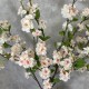 FAUX BLOSSOM PINK | BUNCHES