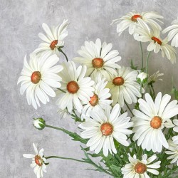FAUX DAISIES WHITE | BUNCHES