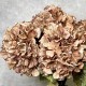 FAUX DRIED HYDRANGEAS CAPPUCCINO | BUNCHES