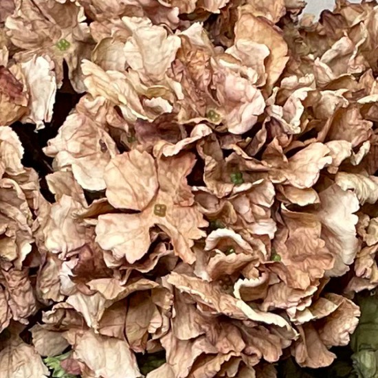 FAUX DRIED HYDRANGEAS CAPPUCCINO | BUNCHES