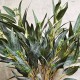 FAUX EUCALYPTUS GREEN | BUNCHES