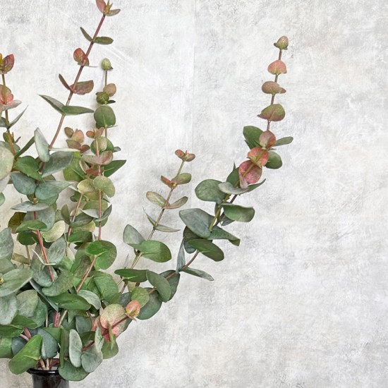 FAUX EUCALYPTUS GREEN PINK | BUNCHES