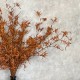 FAUX LIMONIUM BURNT ORANGE | BUNCHES