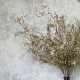 FAUX LIMONIUM NEUTRAL | BUNCHES