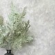 FAUX MIMOSA LEAVES SAGE GREEN | BUNCHES