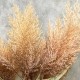 FAUX PAMPAS CARAMEL | BUNCHES