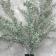 FAUX ROSEMARY GREY GREEN | BUNCHES