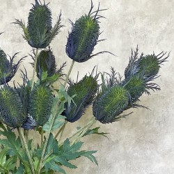 FAUX THISTLES BLUE | BUNCHES