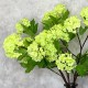 FAUX VIBURNUM GREEN | BUNCHES