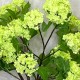 FAUX VIBURNUM GREEN | BUNCHES