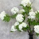 FAUX VIBURNUM WHITE | BUNCHES