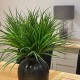 VANILLA GRASS IN CHARCOAL METAL VASE | FAUX FOLIAGE ARRANGEMENTS