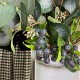 BLUEBERRY COMPOTE | BLUEBERRIES EUCALYPTUS BOUQUET