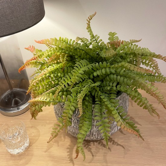 FERN | FAUX FOLIAGE PLANTS