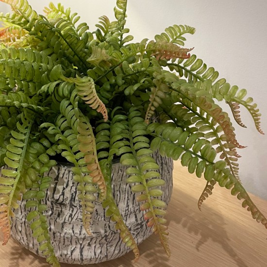 FERN | FAUX FOLIAGE PLANTS