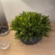 VANILLA BUSH | FAUX FOLIAGE PLANTS