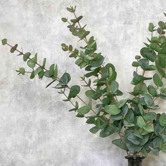 FAUX EUCALYPTUS GREEN | BUNCHES