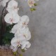 SANTA CRUZ | WHITE ORCHID ARRANGEMENT | ARTIFICIAL FLOWER ARRANGEMENTS