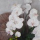 SANTA CRUZ | WHITE ORCHID ARRANGEMENT | ARTIFICIAL FLOWER ARRANGEMENTS