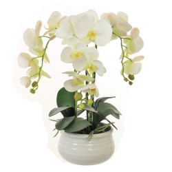 PHALAENOPSIS ORCHIDS PLANTS WHITE | ARTIFICIAL FLOWER ARRANGEMENTS
