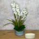 WHITE VANDA ORCHIDS PLANTS IN BLUE POT | ARTIFICIAL FLOWER ARRANGEMENTS