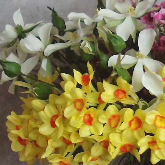 SPRING QUARTET | NARCISSI DOG ROSE WAXFLOWER HELLEBORES BOUQUET