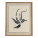 FLORA & FAUNA SPLEENWORT ART ON TORN LINEN WITH BEADED FRAME 50CM X 40CM | HOMEWARE