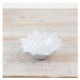 FLOWER TRINKET DISH 13CM | HOMEWARE