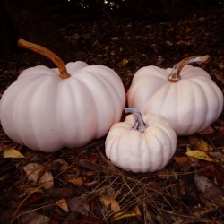 SET OF THREE PEACH PUMPKINS | HOMEWARE