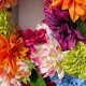 CARNIVAL | DAHLIAS WREATH