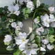 HALO | MAGNOLIAS WREATH